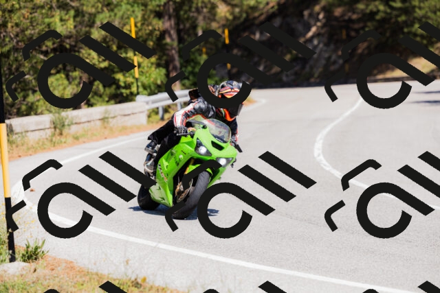 202509061319-_04A6164_c3