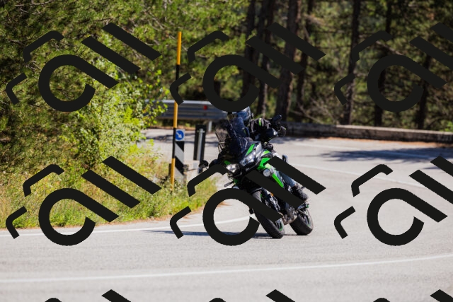 202509061320-_04A6181_c3