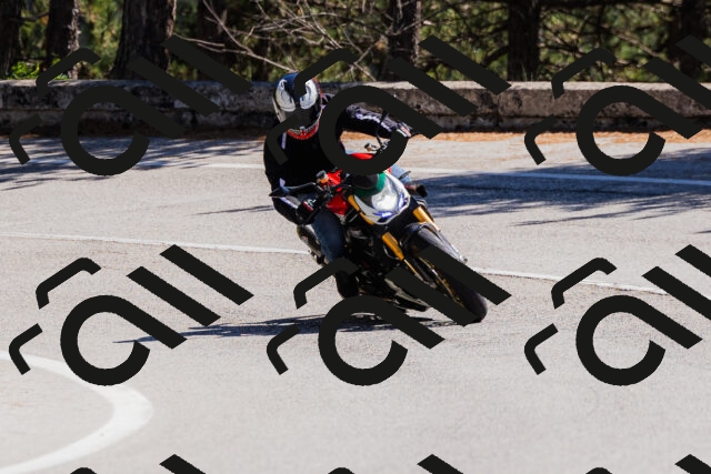 202509061321-_04A6185_c3