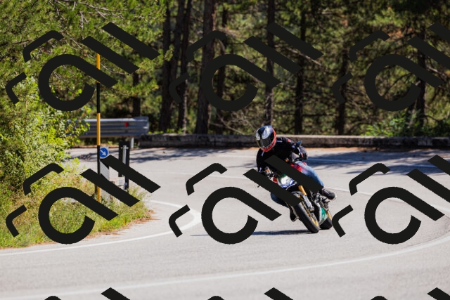 202509061321-_04A6188_c3