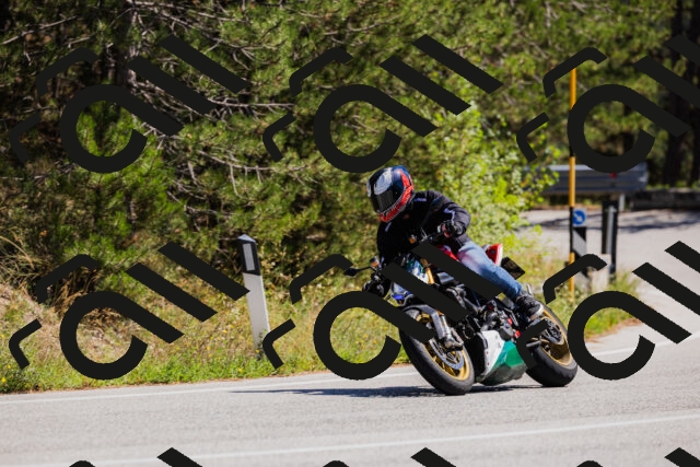 202509061321-_04A6190_c3