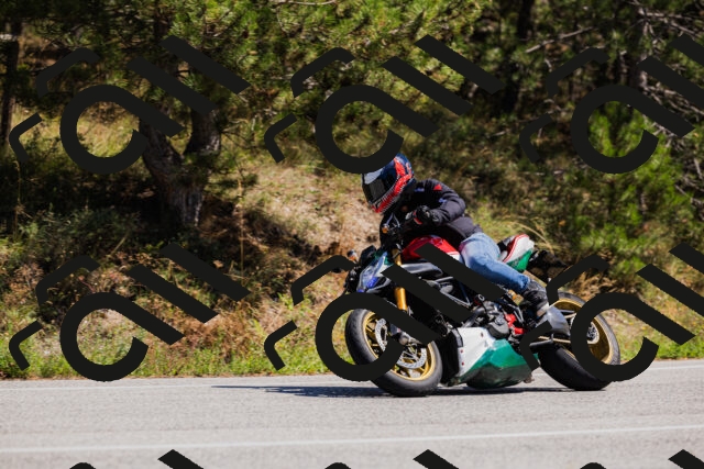 202509061321-_04A6191_c3