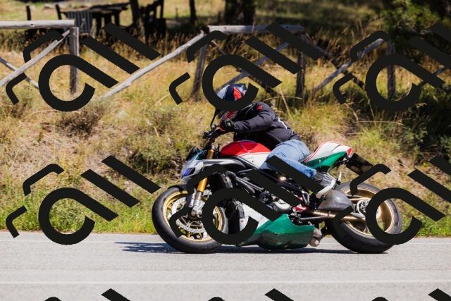 202509061321-_04A6192_c3