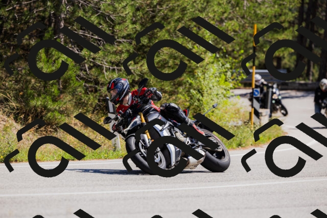 202509061321-_04A6195_c3