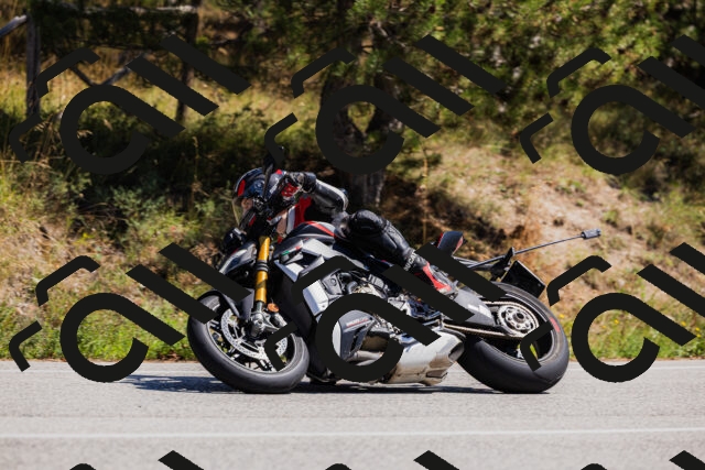 202509061321-_04A6196_c3