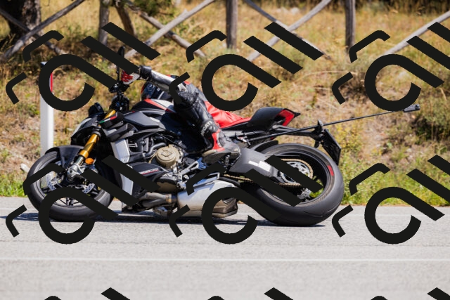 202509061321-_04A6197_c3