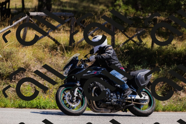 202509061321-_04A6201_c3