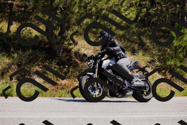 202509061321-_04A6207_c3