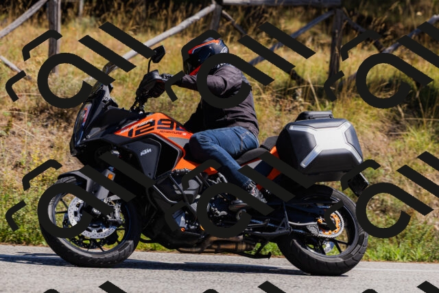 202509061321-_04A6208_c3