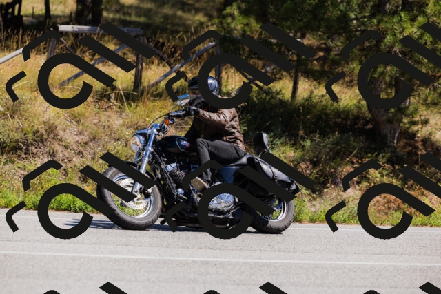 202509061321-_04A6210_c3