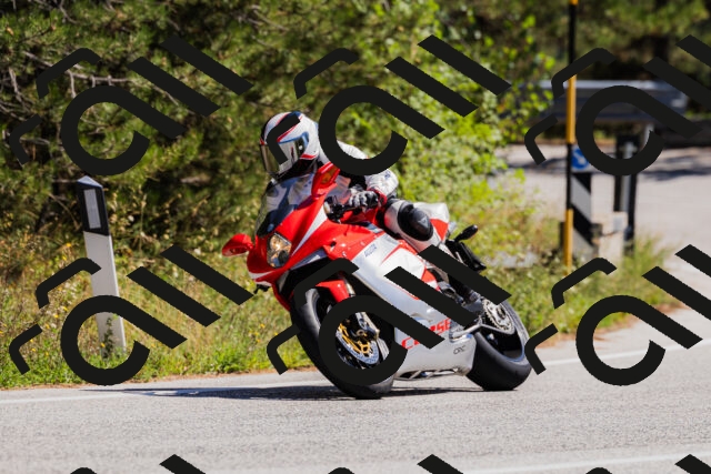 202509061322-_04A6215_c3