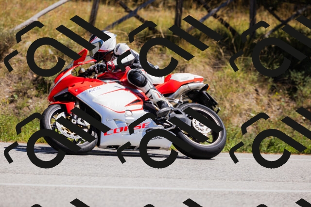 202509061322-_04A6217_c3