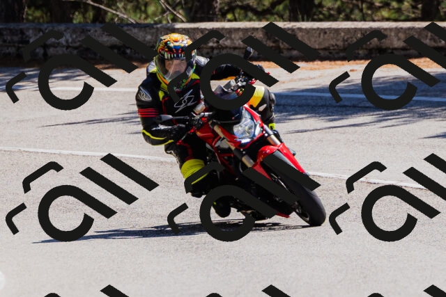 202509061322-_04A6219_c3