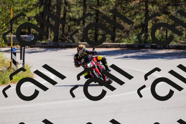 202509061322-_04A6222_c3