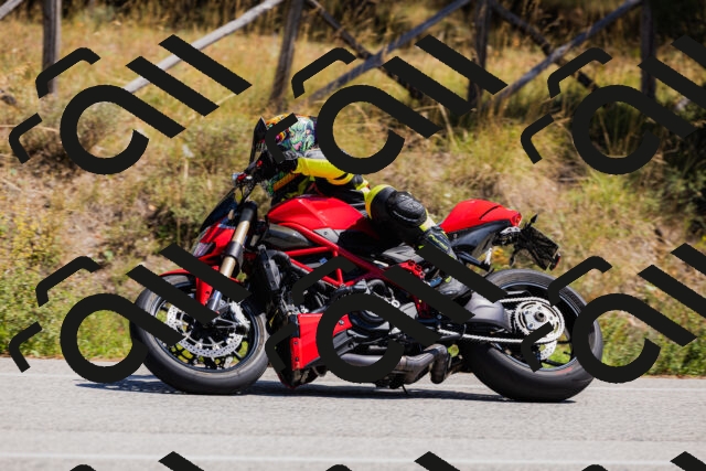 202509061322-_04A6225_c3