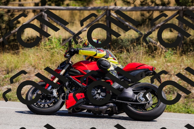 202509061322-_04A6226_c3