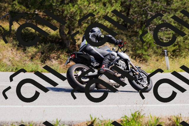 202509061323-_04A6233_c3