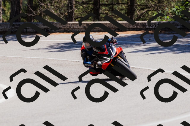 202509061326-_04A6234_c3