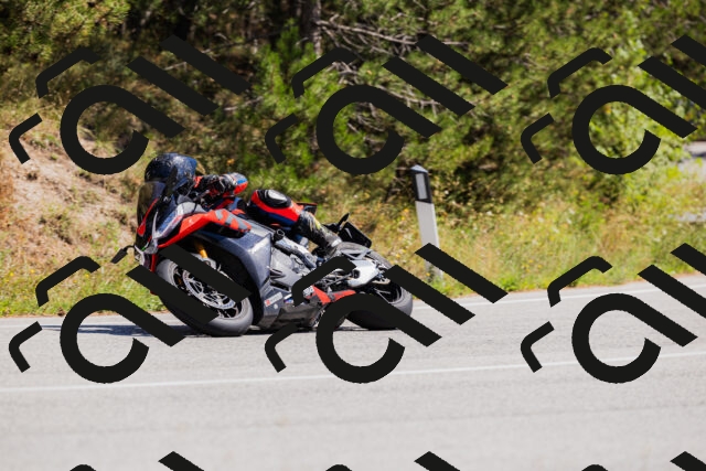 202509061326-_04A6238_c3