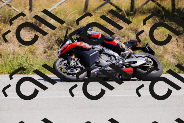 202509061326-_04A6239_c3