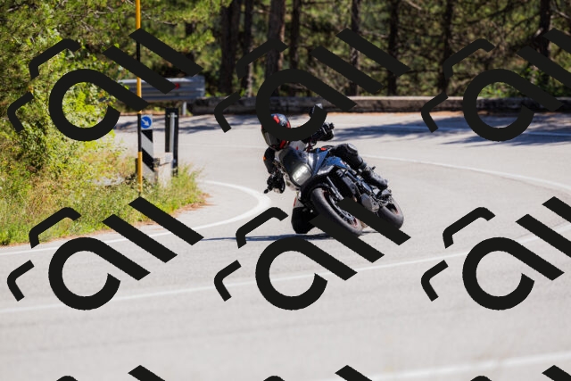 202509061326-_04A6240_c3