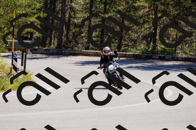 202509061326-_04A6246_c3