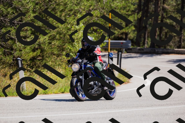 202509061327-_04A6260_c3