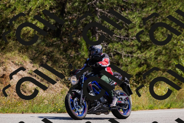 202509061327-_04A6261_c3