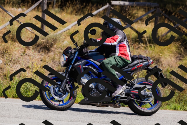 202509061327-_04A6263_c3