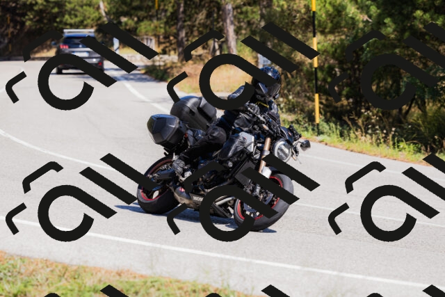 202509061328-_04A6266_c3