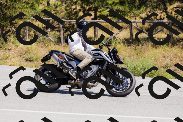 202509061329-_04A6274_c3