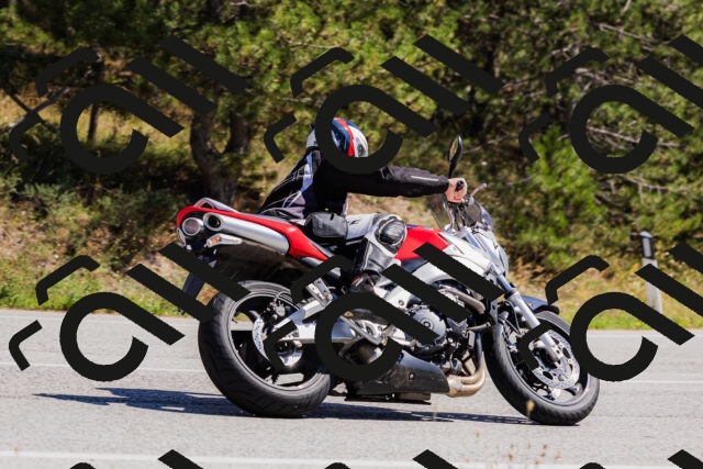 202509061330-_04A6296_c3