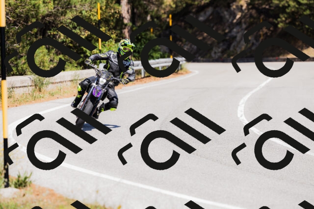 202509061331-_04A6300_c3