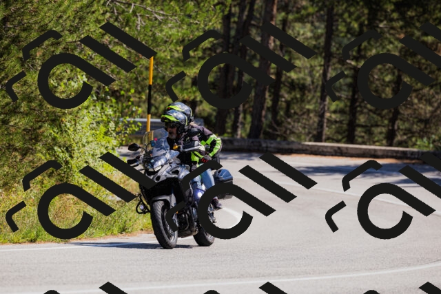 202509061332-_04A6308_c3