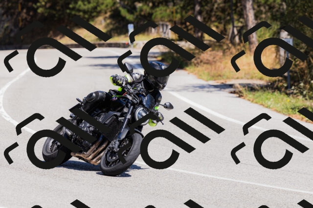 202509061332-_04A6318_c3