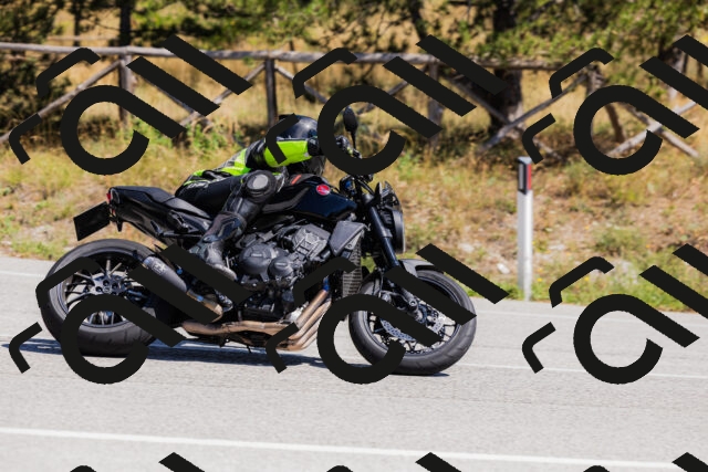 202509061332-_04A6320_c3