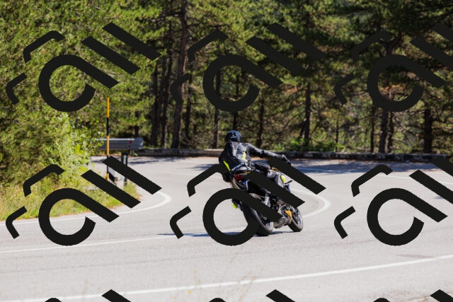 202509061332-_04A6331_c3