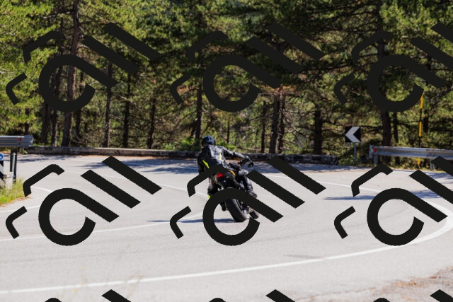 202509061332-_04A6332_c3