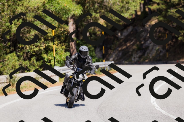 202509061332-_04A6333_c3