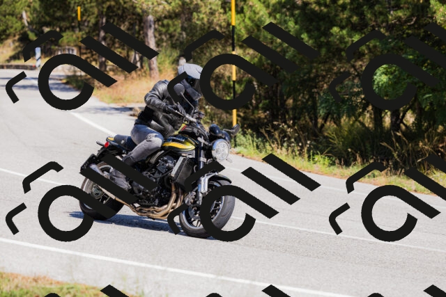 202509061332-_04A6334_c3