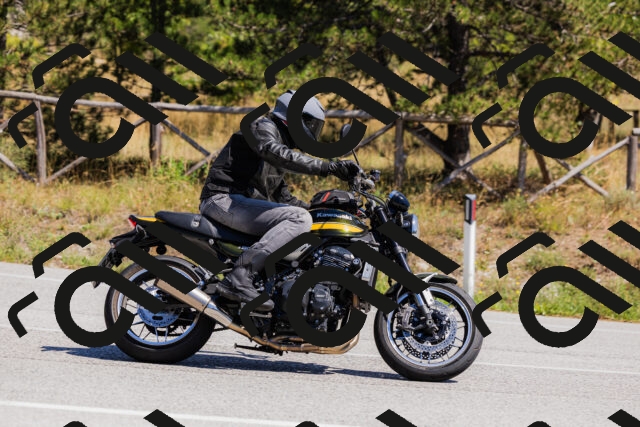 202509061332-_04A6336_c3