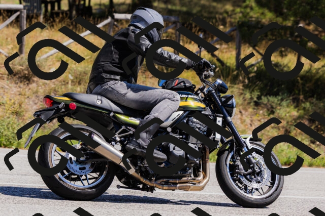 202509061332-_04A6337_c3