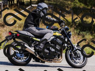 202509061332-_04A6337_c3