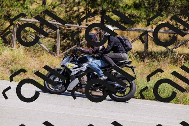 202509061332-_04A6343_c3