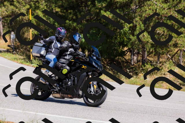 202509061333-_04A6353_c3