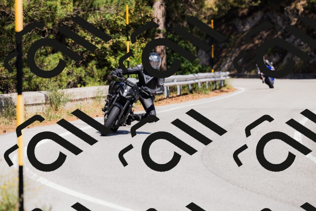 202509061335-_04A6358_c3