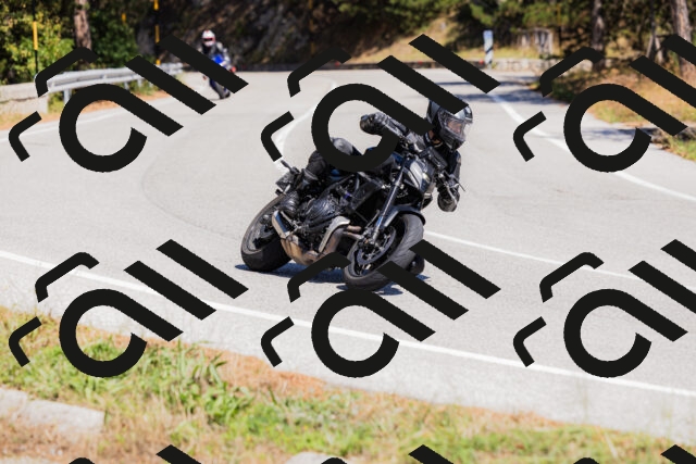 202509061335-_04A6361_c3