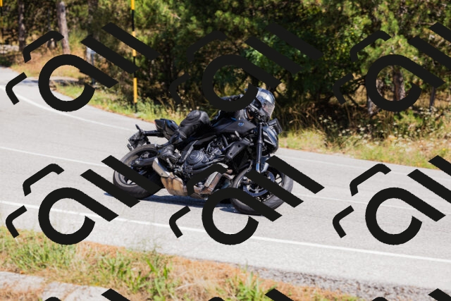 202509061335-_04A6362_c3