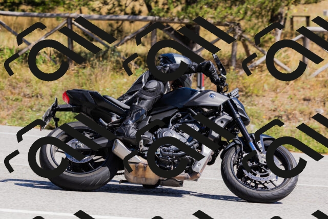 202509061335-_04A6363_c3