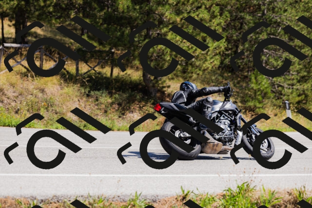 202509061335-_04A6364_c3